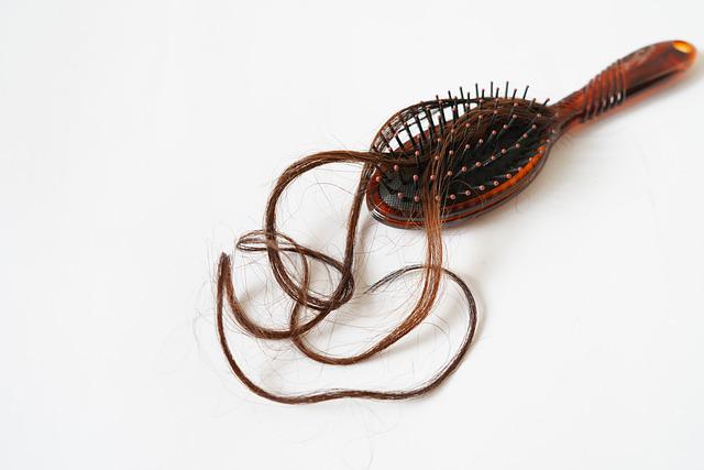 alopecia - hair strand on a brush