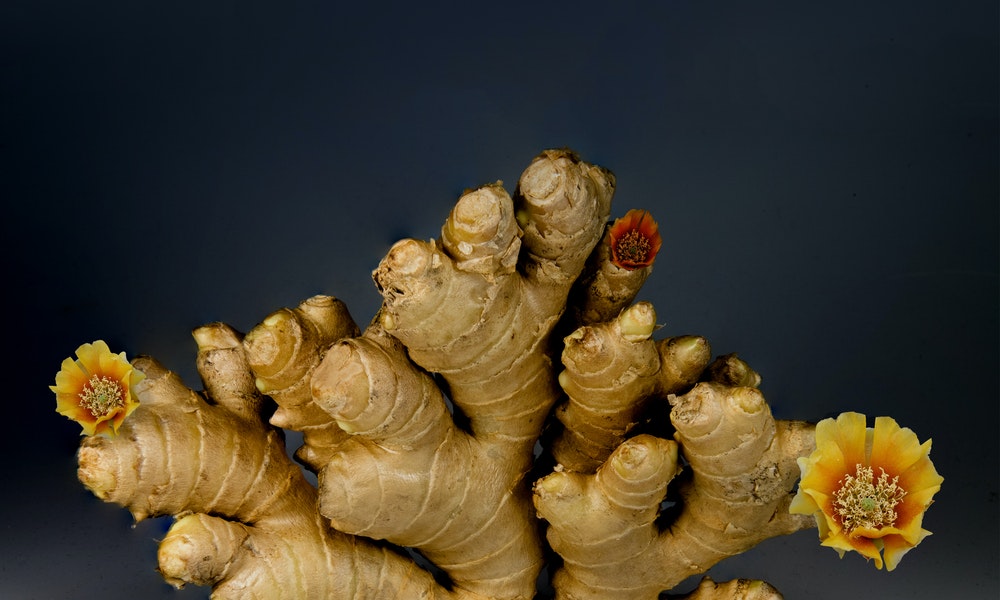 Ginger – What Everyone Ought To Know About It