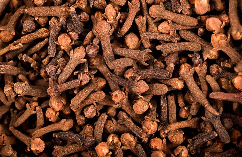 Cloves – The Precious Health Gift to Humanity