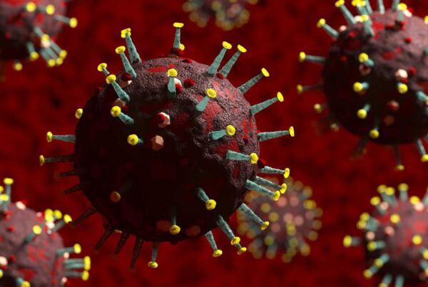 hepatitis b viral particles